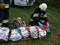 Zielna 2013_2_59